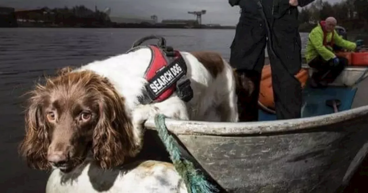 Hero Scots sniffer dog dies after 11 years of helping families