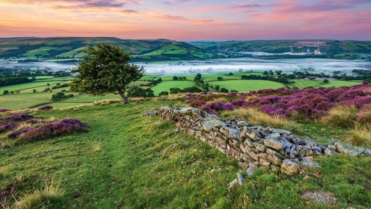 Kartierungsprojekt: Hobbyarchäologen finden Tausende antike Stätten in England