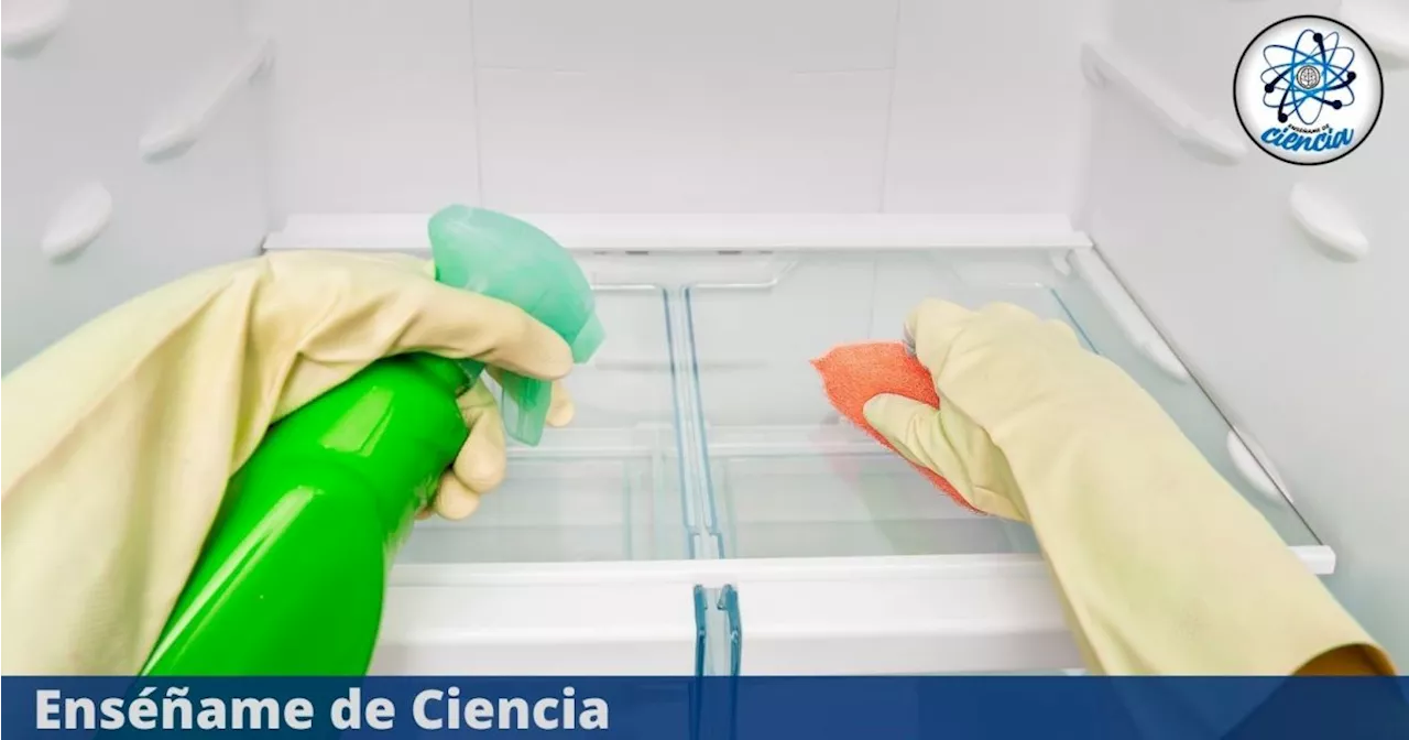 La mezcla milagrosa para eliminar el mal olor del refrigerador en minutos y sin esfuerzo