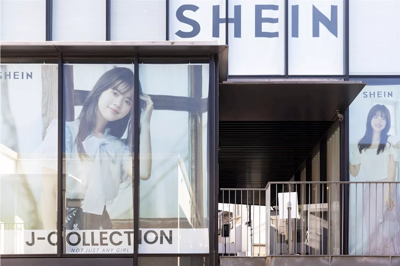 Shein products contain high levels of toxic chemicals