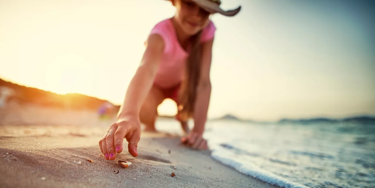 Frau soll über 80.000 Euro zahlen, weil Kinder am Strand Muscheln sammeln