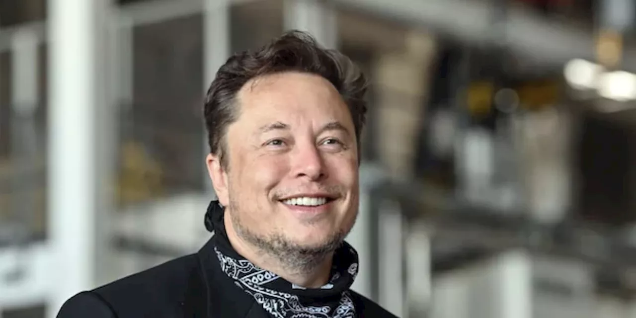 Tesla-Boss Elon Musk holt für sein KI-Start-up xAI 6 Milliarden Dollar