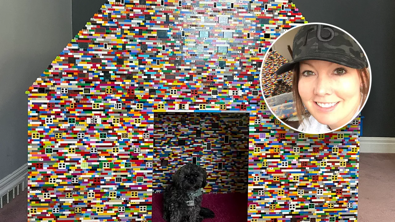 Woman obsessed with Legos builds 6-foot-tall doghouse for her pets: ‘Several hundred thousand pieces’