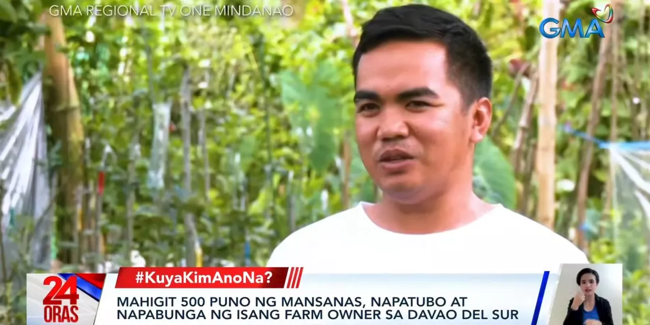 Man grows over 500 apple trees in Digos, Davao del Sur