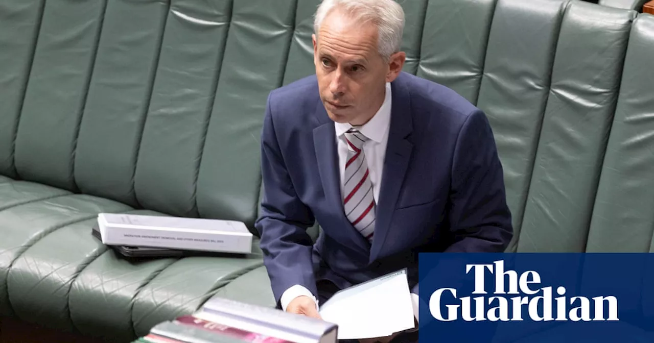 Government given ‘options’ to reform ministerial ruling that saw criminals given Australian visas