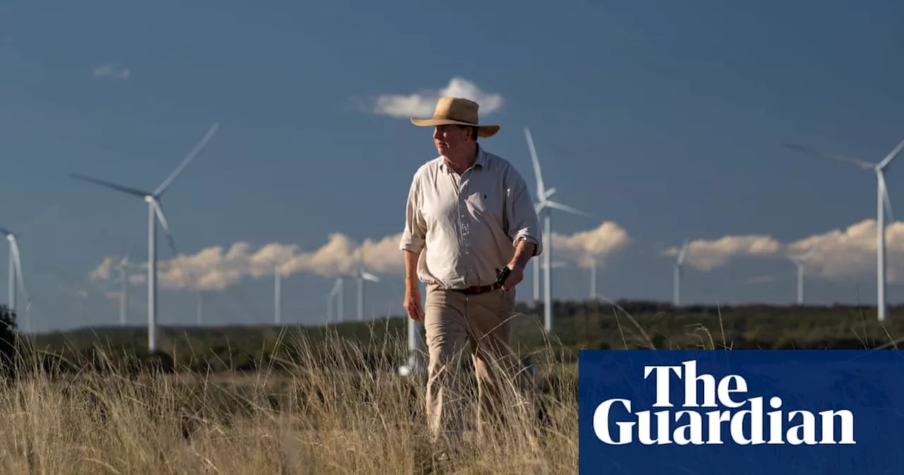 In the largest windfarm in the southern hemisphere, ‘renewable energy farmers’ look to the future