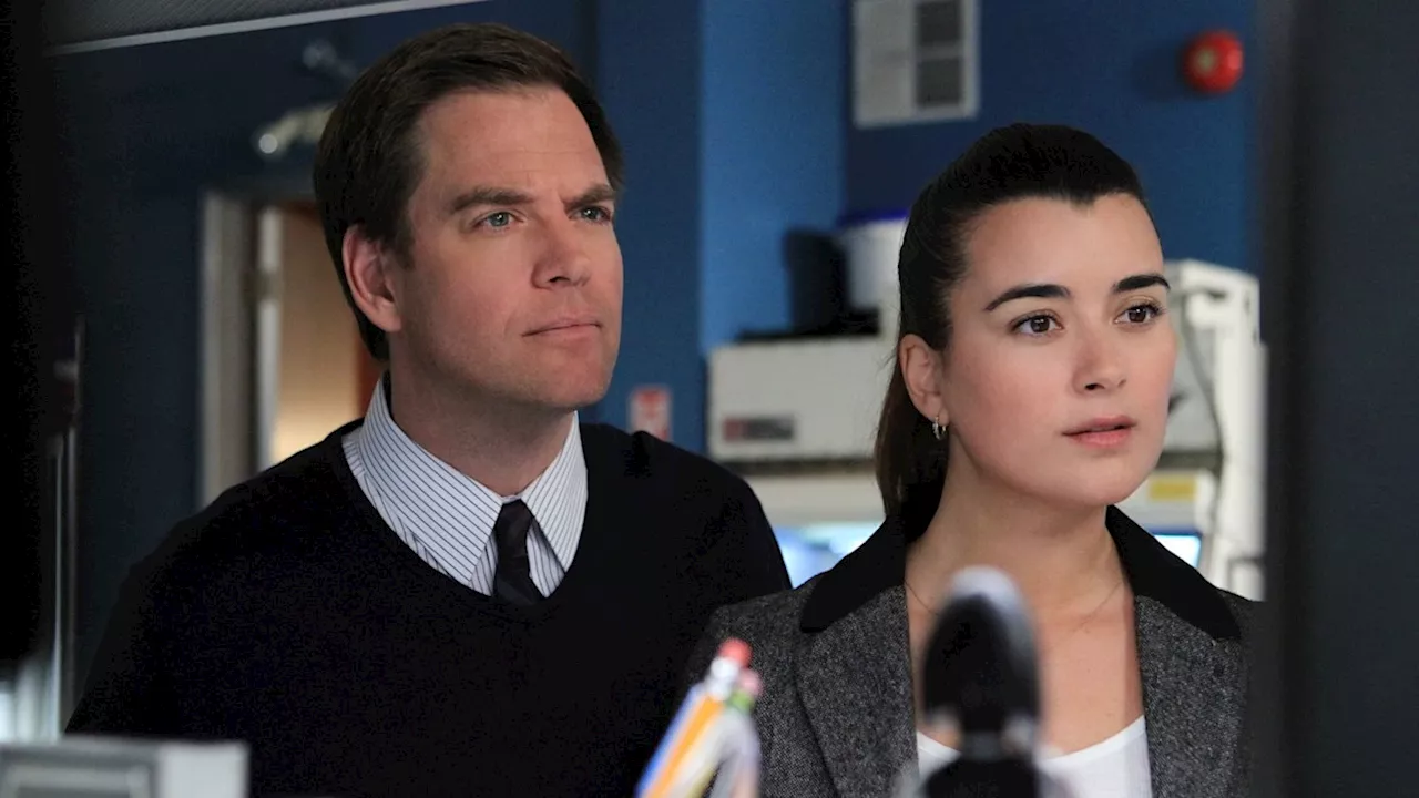 NCIS stars Michael Weatherly and Cote de Pablo to reunite with former co-stars for major new project — details