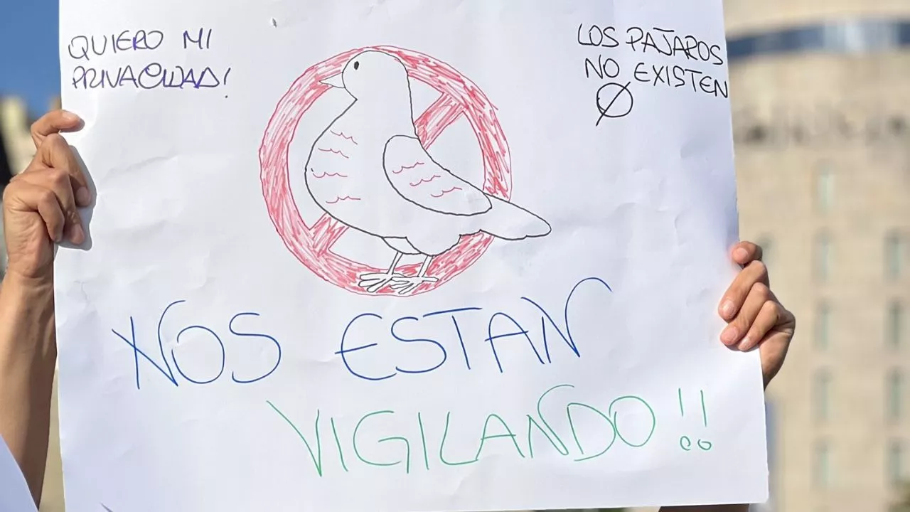 La irreal manifestación contra los pájaros que no existen en España