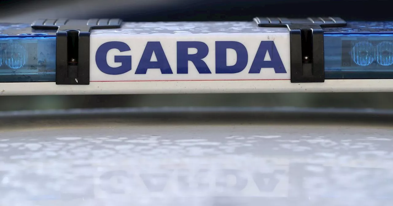 Man armed with knife arrested outside school on Dublin's Parnell Street