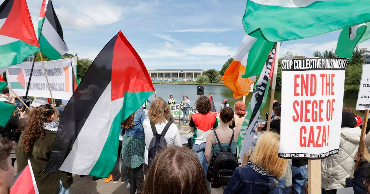 Gardaí called to UCD after students who occupied building were removed by staff