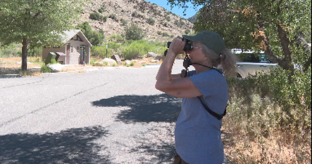 Mount Lemmon sees smaller crowds for Memorial Day in light of travel records