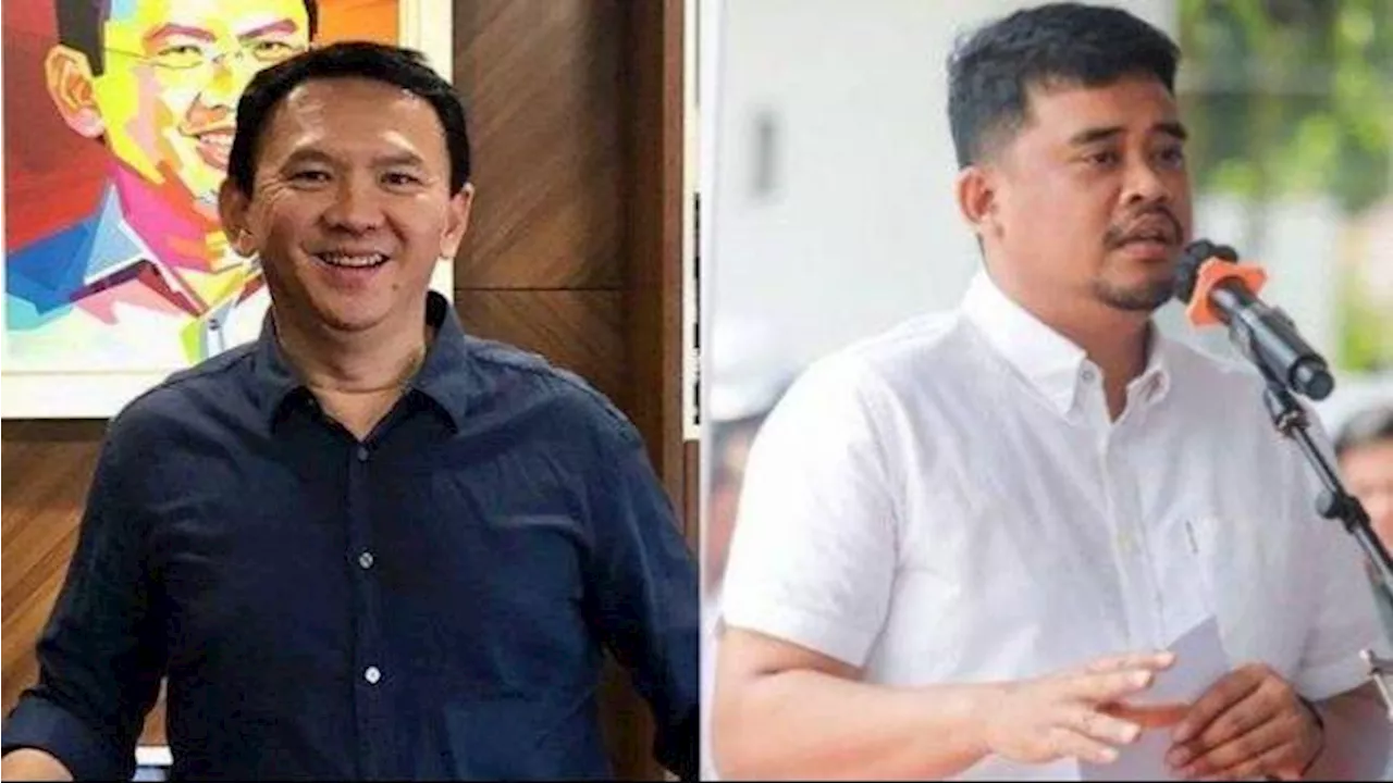 Peluang Ahok Lawan Bobby di Pilgub Sumut 2024: Gerindra Siap, PDI-P Tunggu Survei