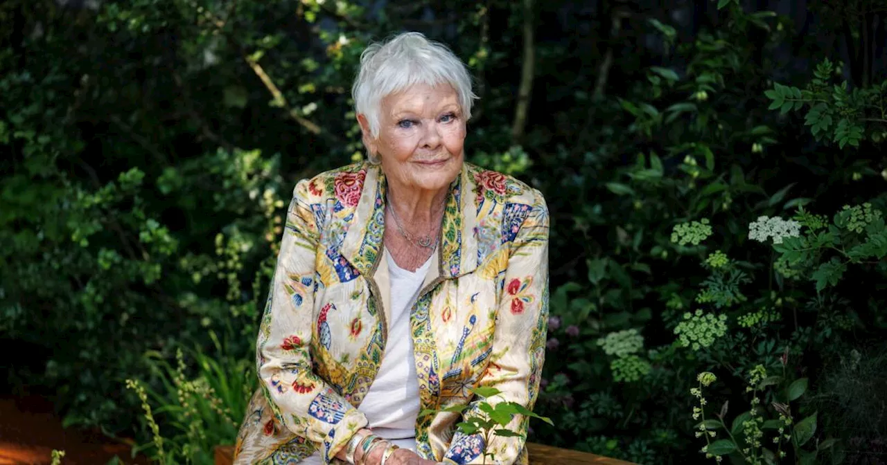 Judi Dench wird keine Filme mehr drehen: 'Ich sehe nichts mehr'