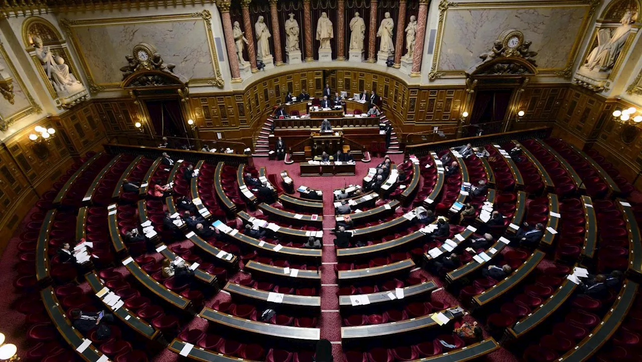 Transidentité des mineurs : le Sénat se déchire sur un texte LR farouchement condamnée par la gauche