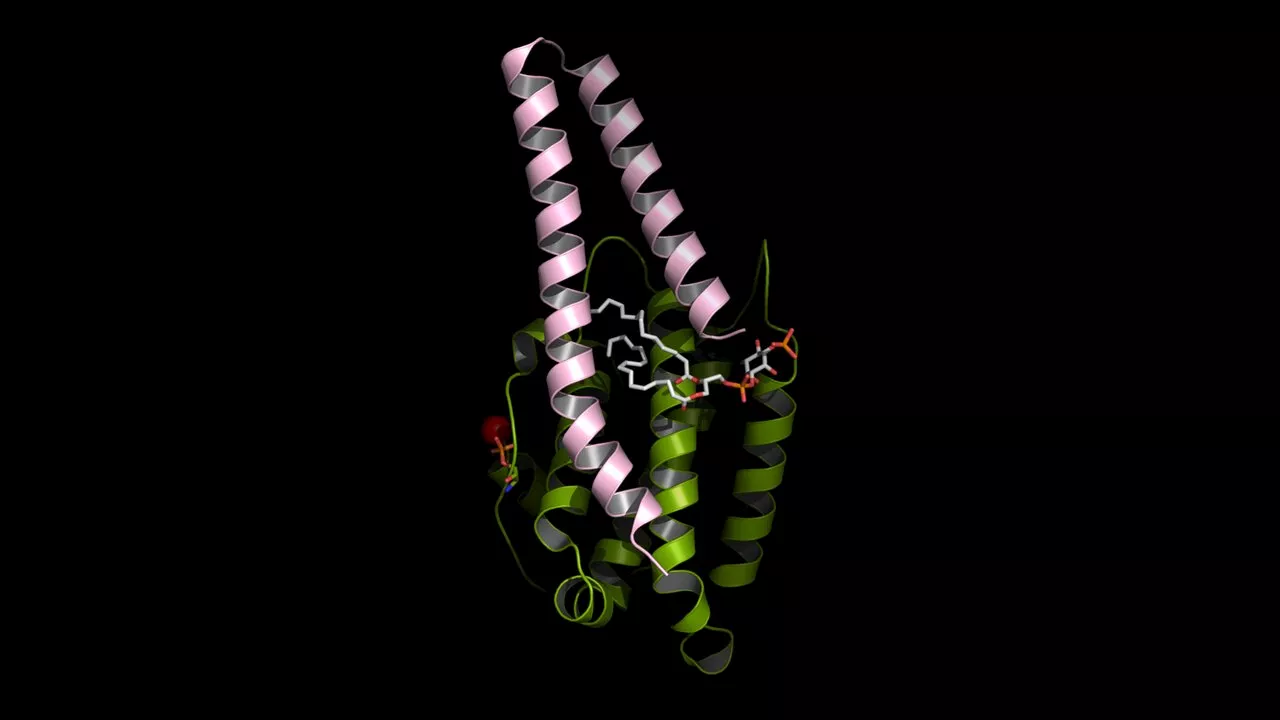 Study shows overlooked lipid is connected to ancient cellular pathway with links to cancer