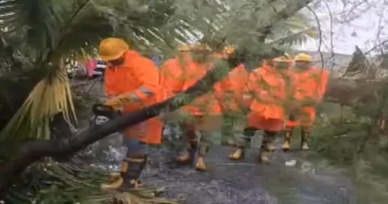 Cyclone Remal: NDRF की टीम ने Sundarban में फंसे लोगों को निकाला बाहर