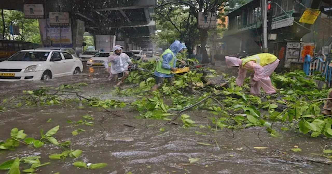 Cyclone Remal के असर से पूर्वोत्तर में भारी बारिश, पेड़ उखड़ें; हवाई और ट्रेन यातायात भी प्रभावित