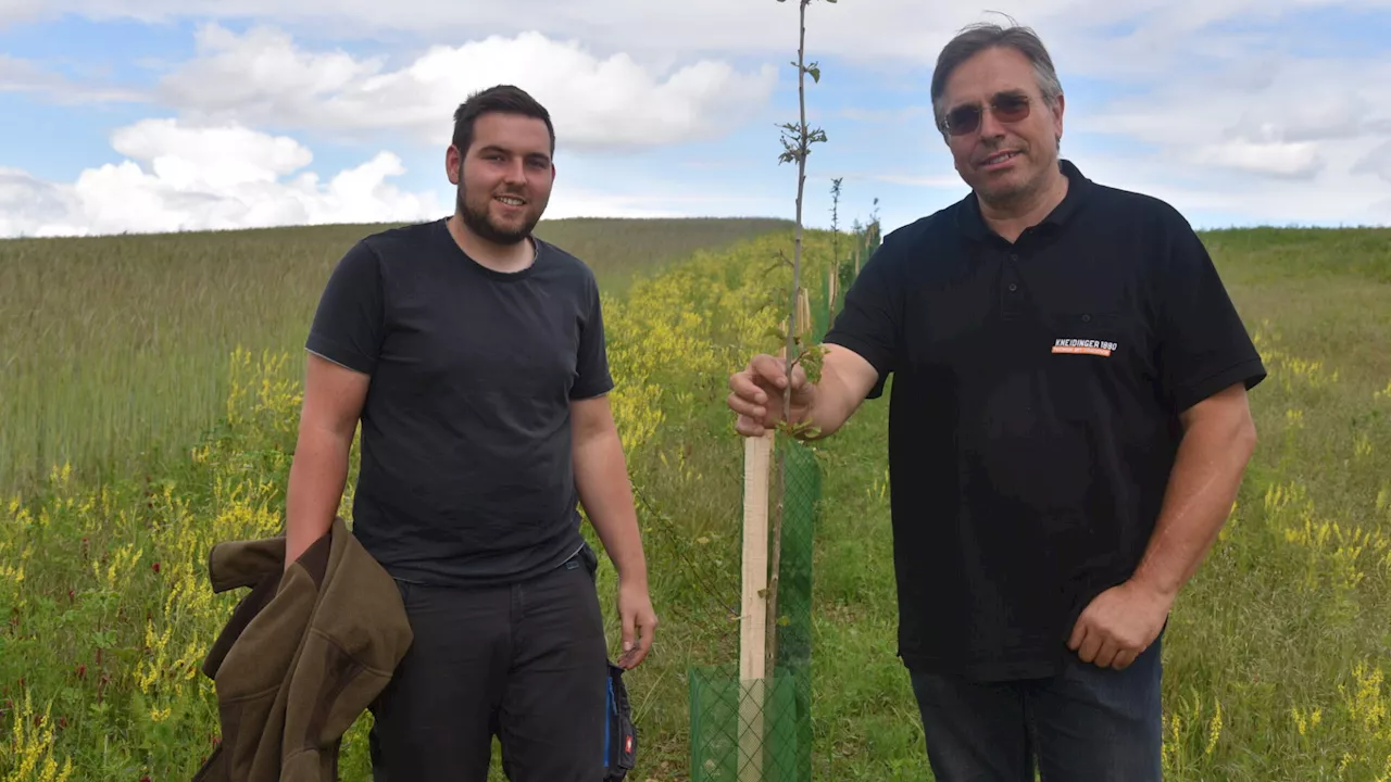 Duo als Vorreiter: 1.550 Bäume und Sträucher schützen den Boden