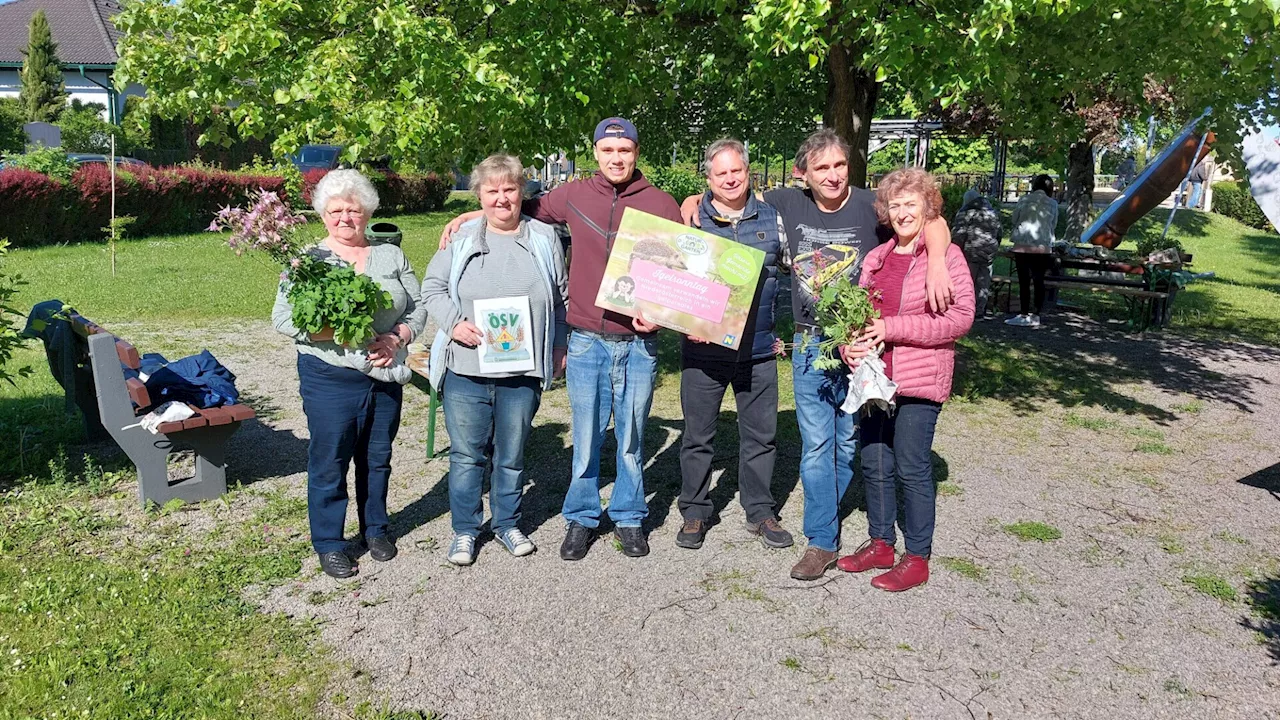 Frauen Kreativ-Café in Wolfpassing war doch nicht für alle Frauen