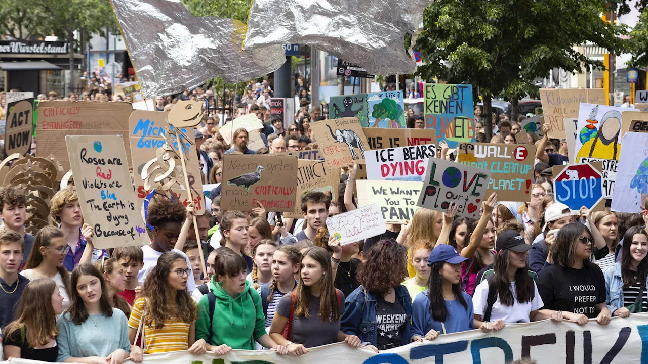 Fridays For Future NÖ protestiert am 31. Mai in Wien