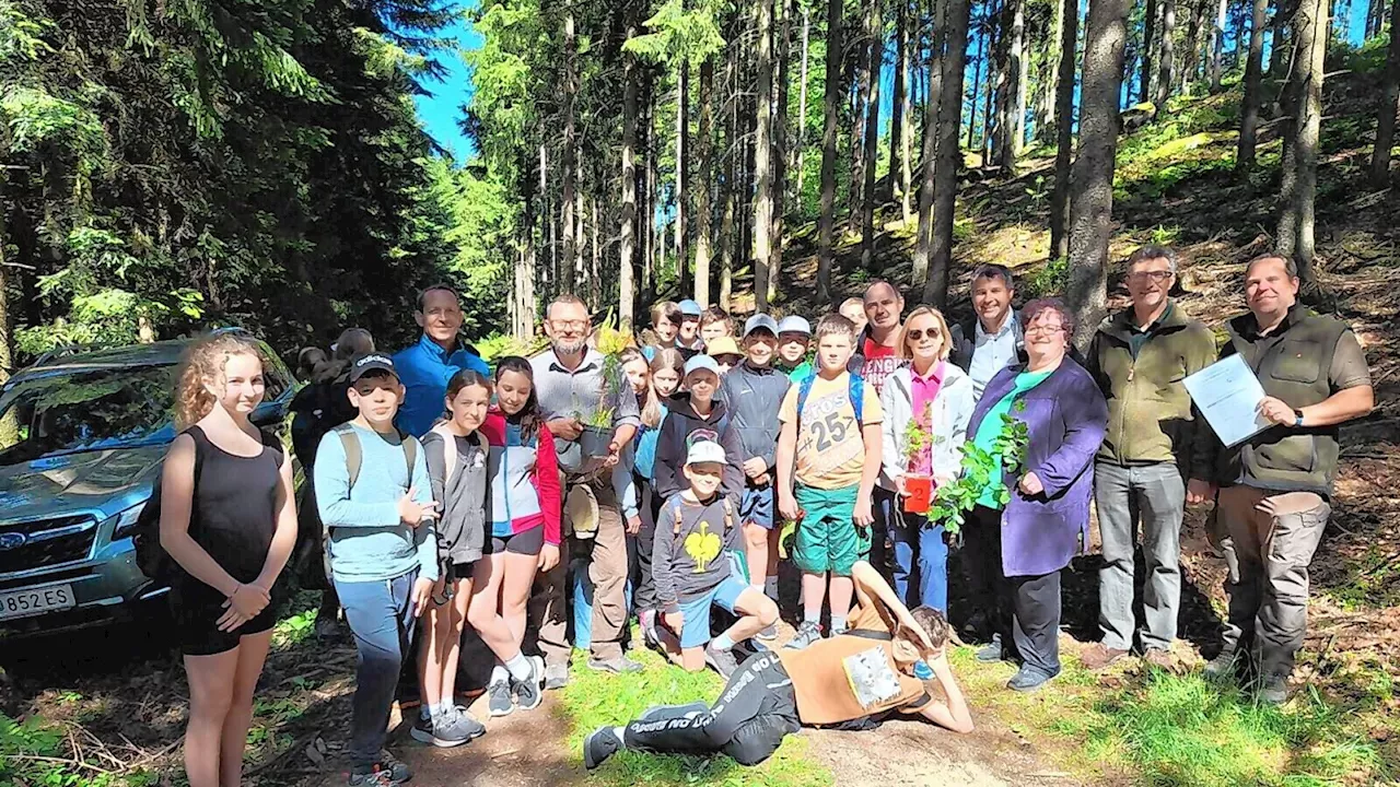 Waldjugendspiele: Kids erforschen die Wälder in St. Oswald