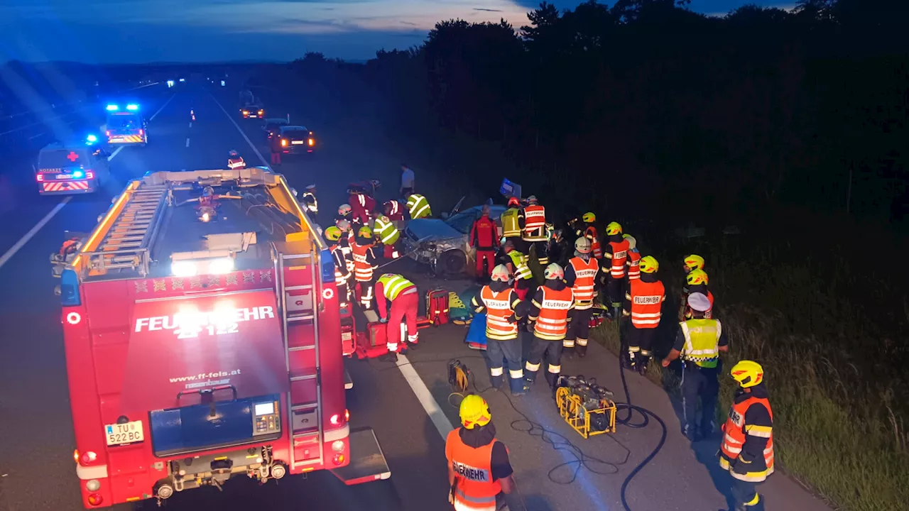 Zweifache Menschenrettung auf der S5 bei Fels am Wagram