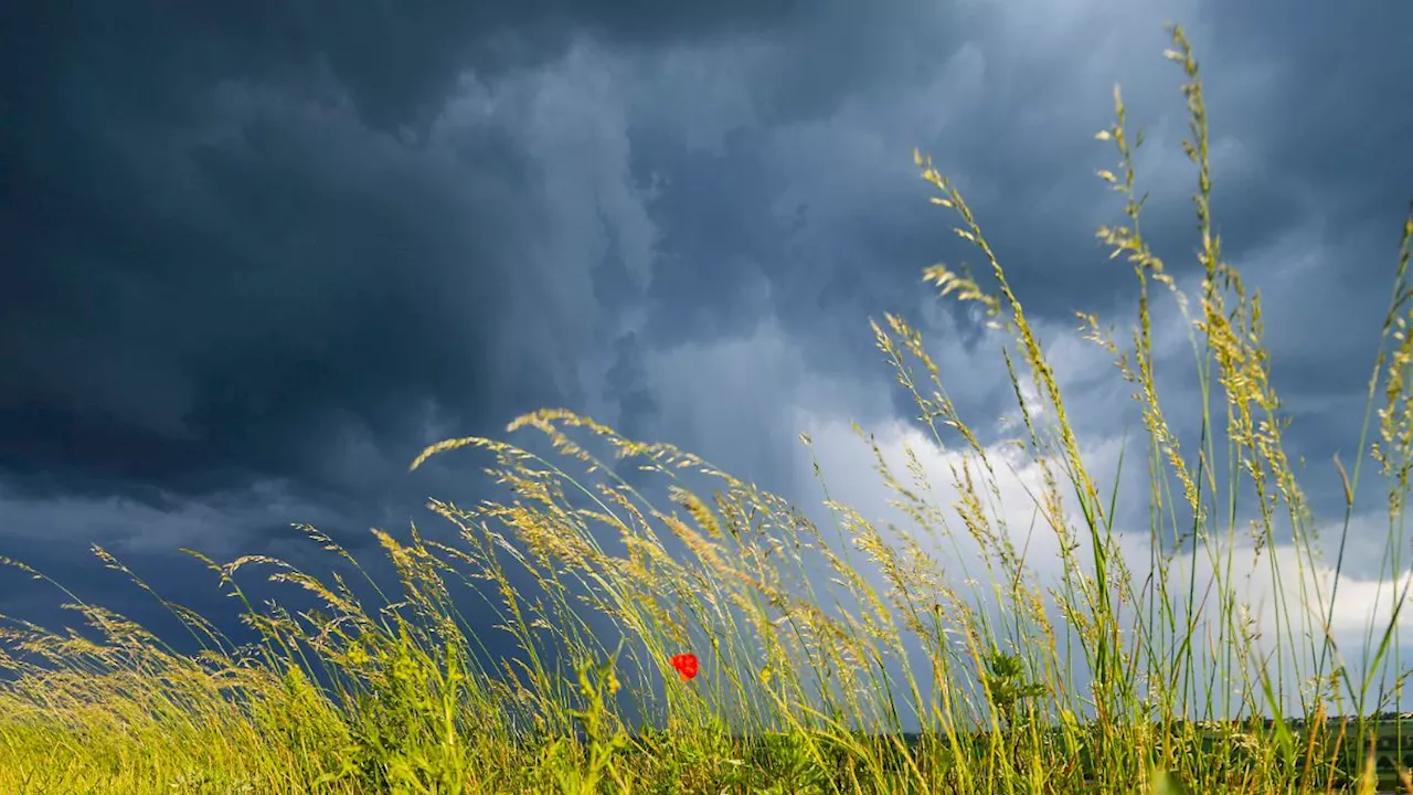 Feuchter Wochenausklang: Sommer kommt - aber es sieht nicht nach Sommer aus