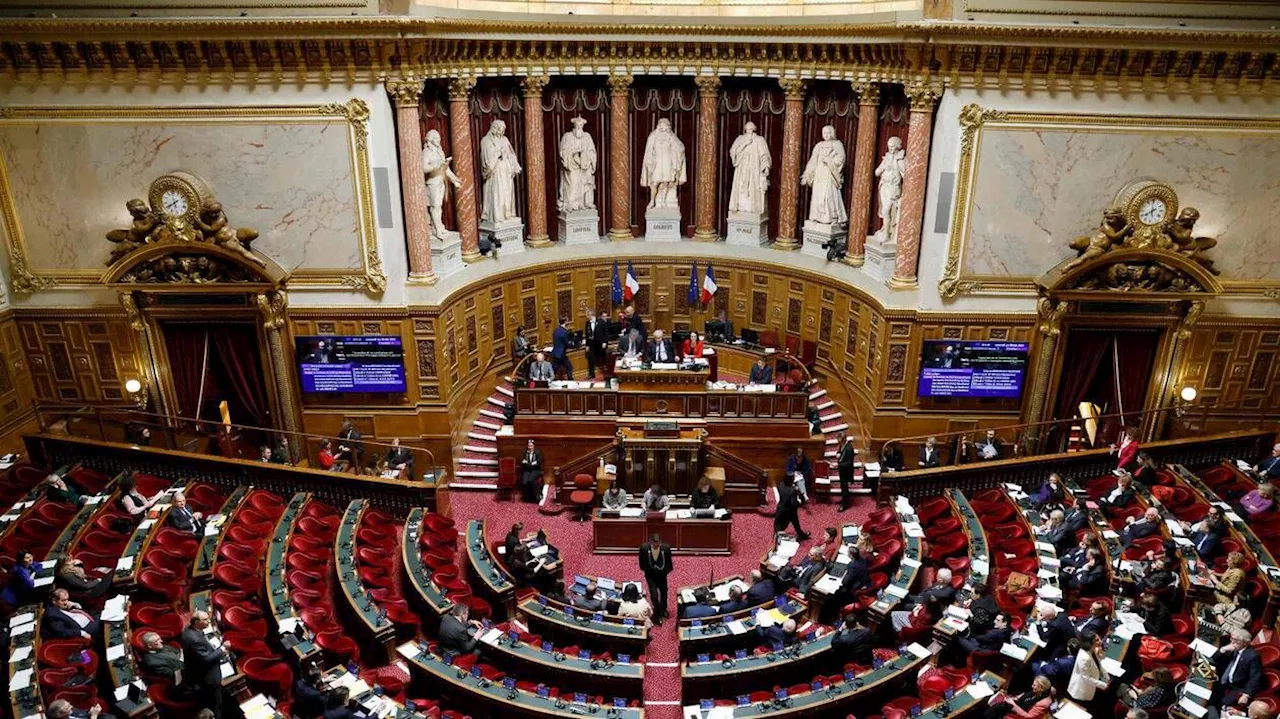 Au Sénat, la proposition de loi LR pour interdire les transitions des mineurs transgenres divise