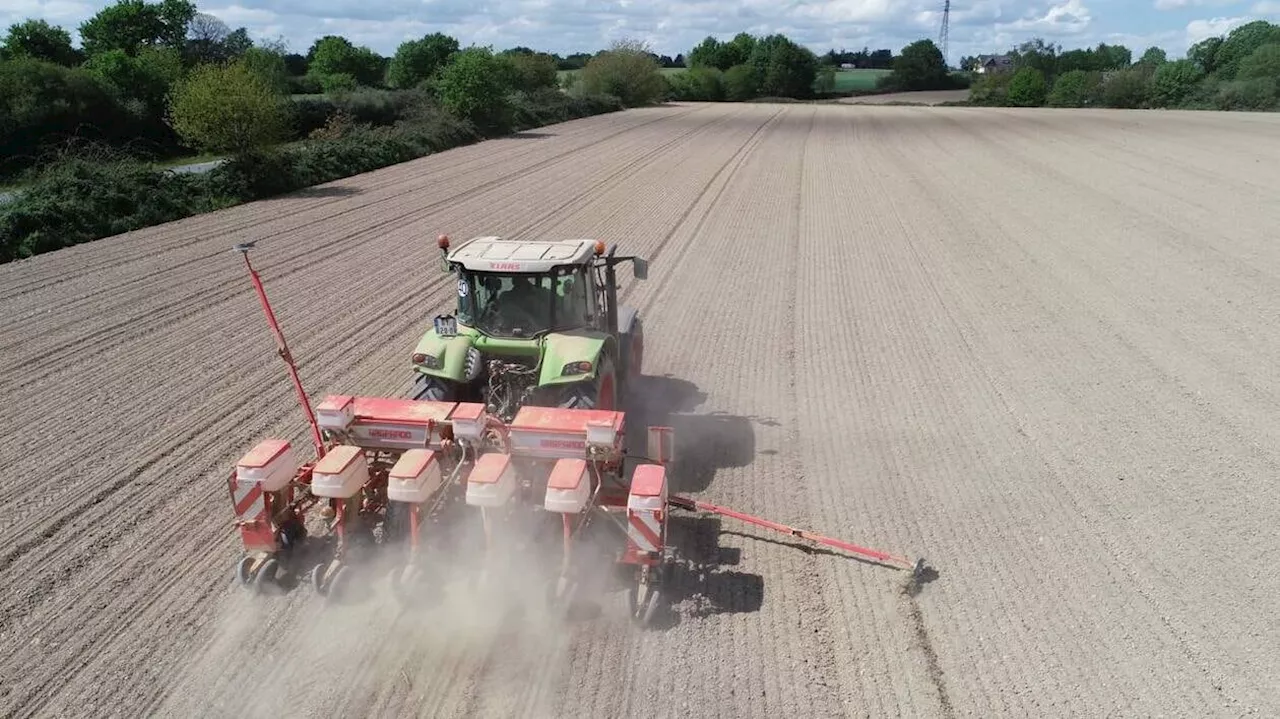 Projet de loi agricole : alors que les députés votent ce mardi, qu’ont apporté les débats ?