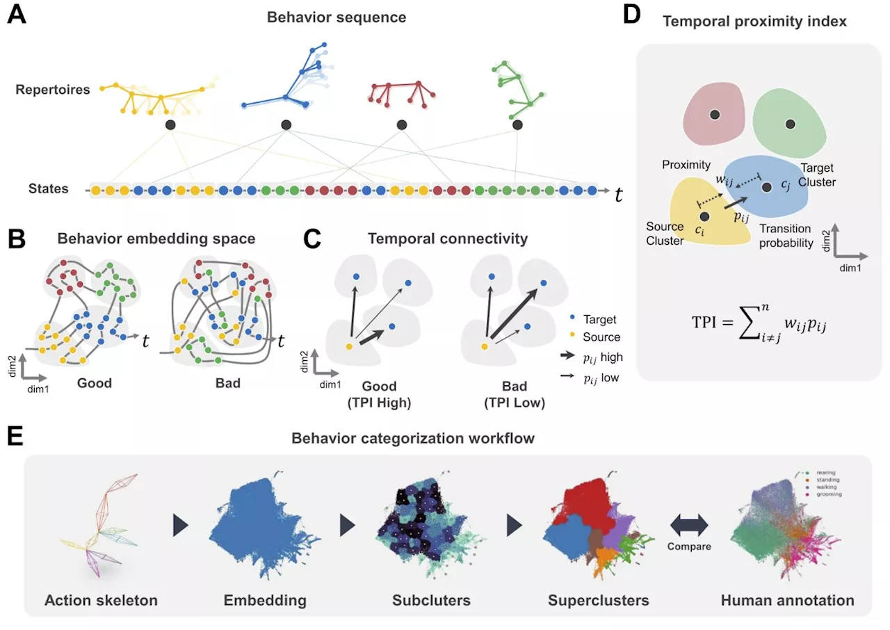 Researchers develop new AI tool for advanced animal behavior analysis