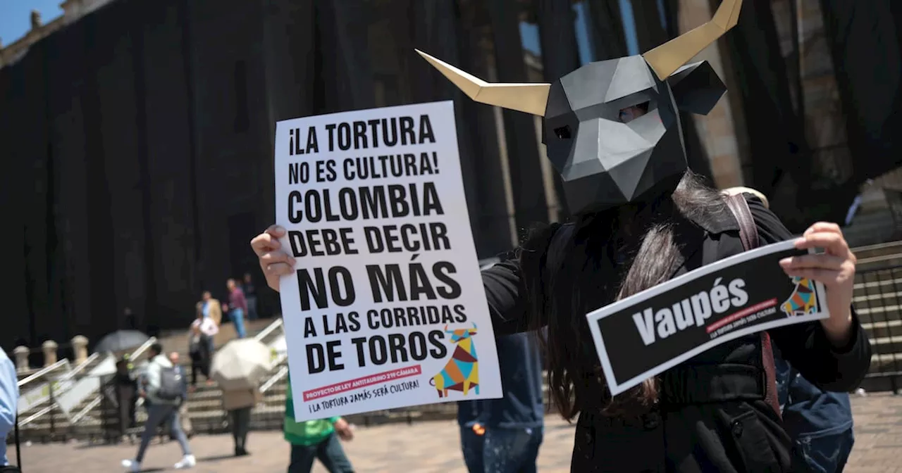 No más olé: Cámara de representantes aprueba la prohibición de las corridas de toros en Colombia