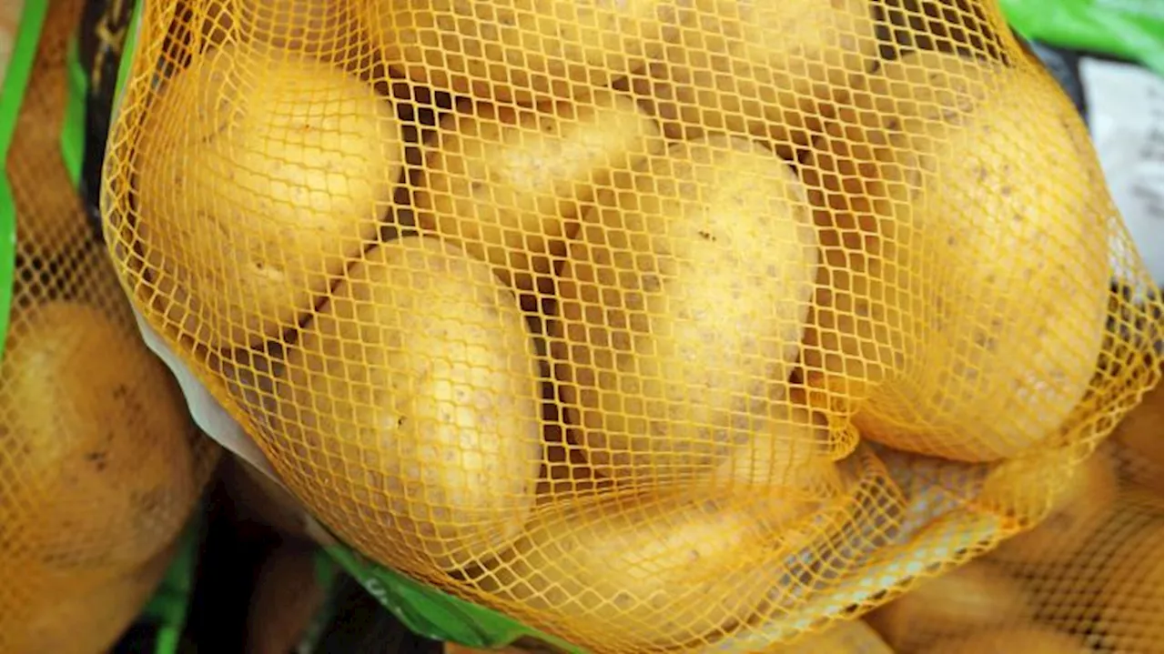 Penny und Rewe rufen Kartoffeln zurück - Gesundheitsgefahr nicht ausgeschlossen