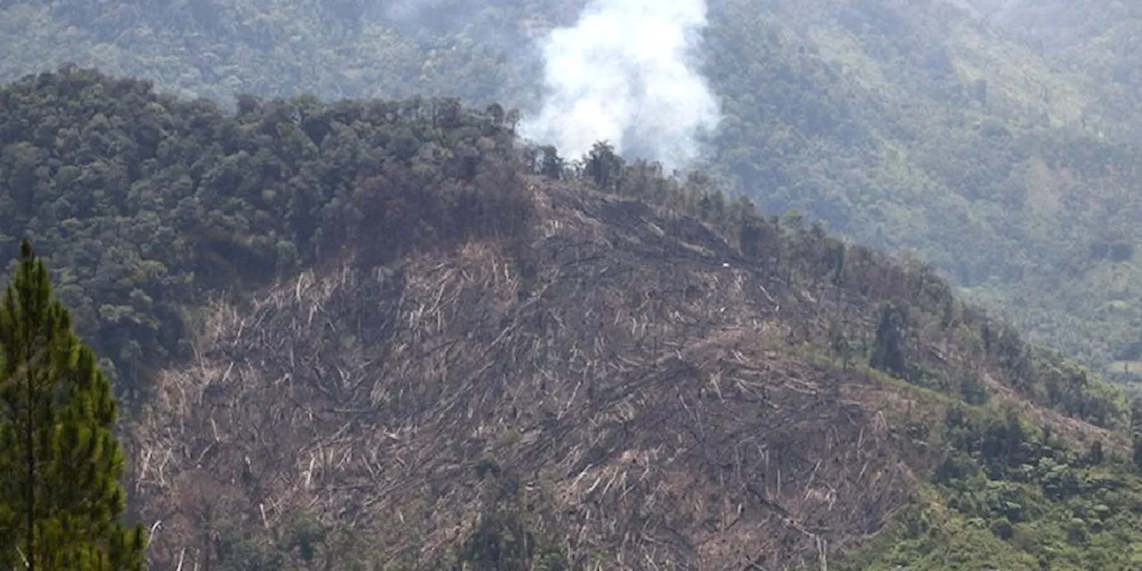 Aceh Butuh Pemimpin yang Peduli Lingkungan