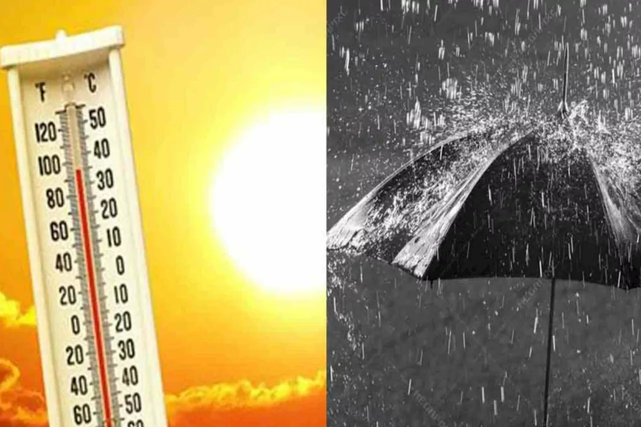 Rajasthan Weather: राजस्थान के लिए नई चेतावनी, 24 घंटे में यहां चलेगी भीषण लू, फिर पश्चिमी विक्षोभ से होगी बारिश, IMD Alert