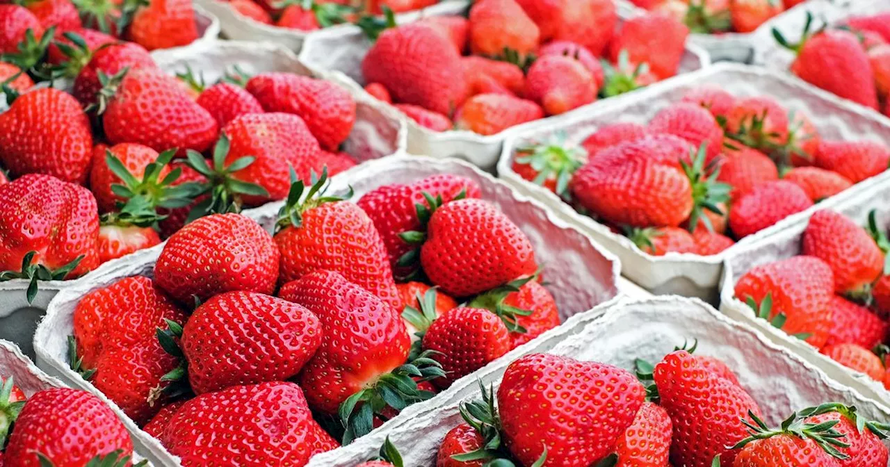 Simple storage hack to help your strawberries last three weeks