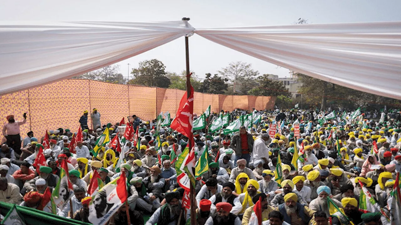 Protesting Indian farmers press on with demands amid elections - SABC News - Breaking news, special reports,