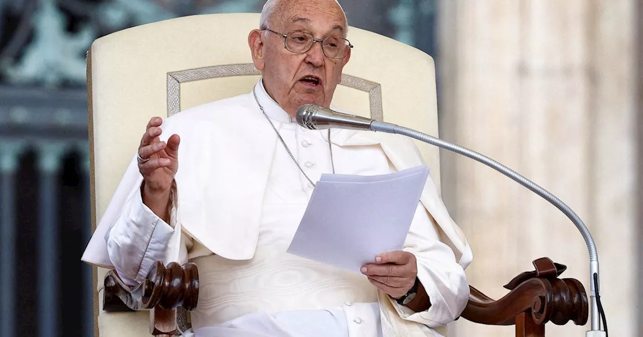 Pope Francis apologises after homophobic slur -Vatican