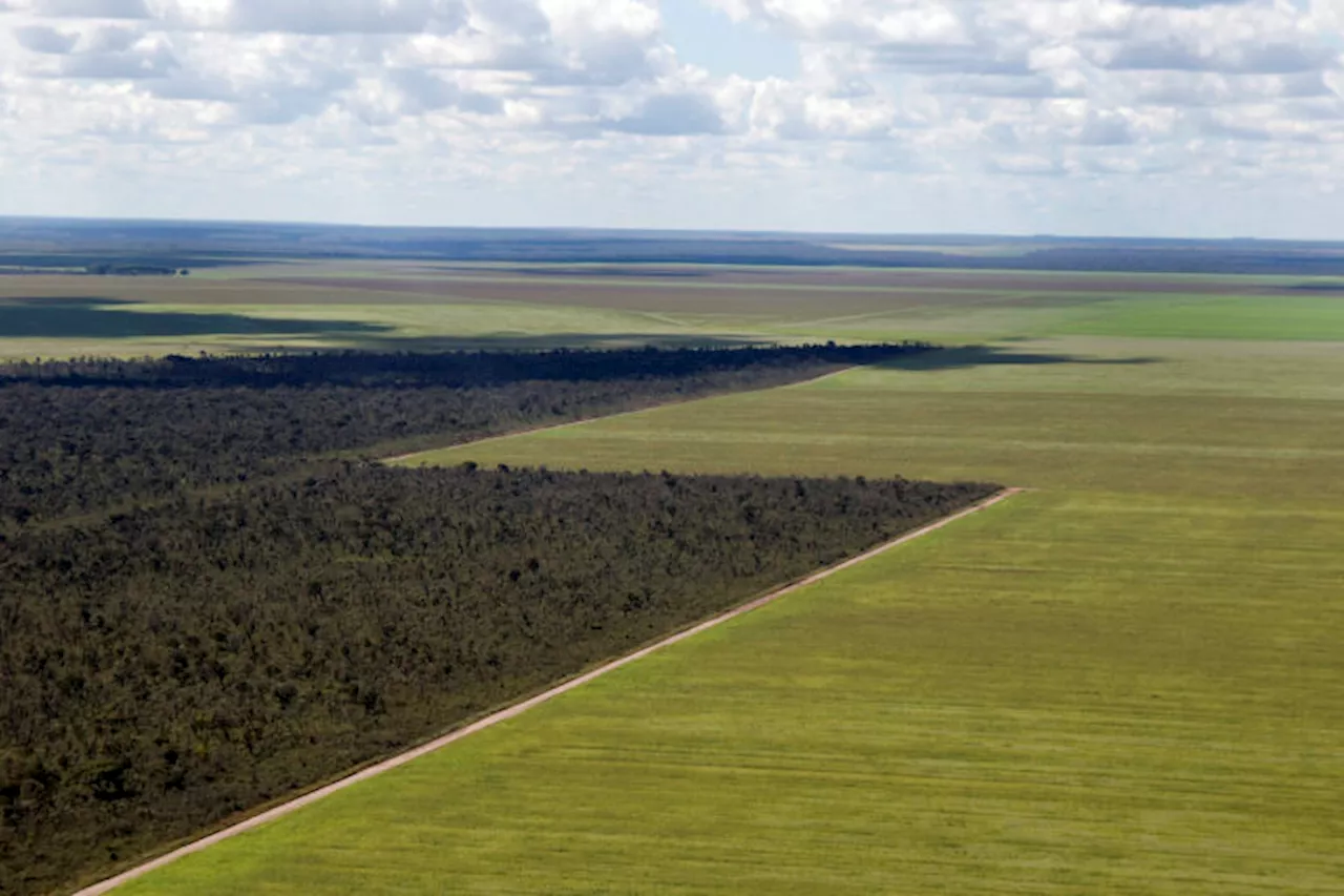 In Brazil’s Cerrado, aquifers are losing more water than they can replace