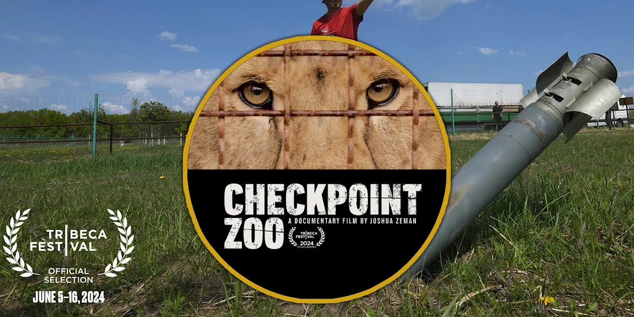 Checkpoint Zoo Documentary Poster Sets Up A 2022 Ukrainian Animal Rescue Story