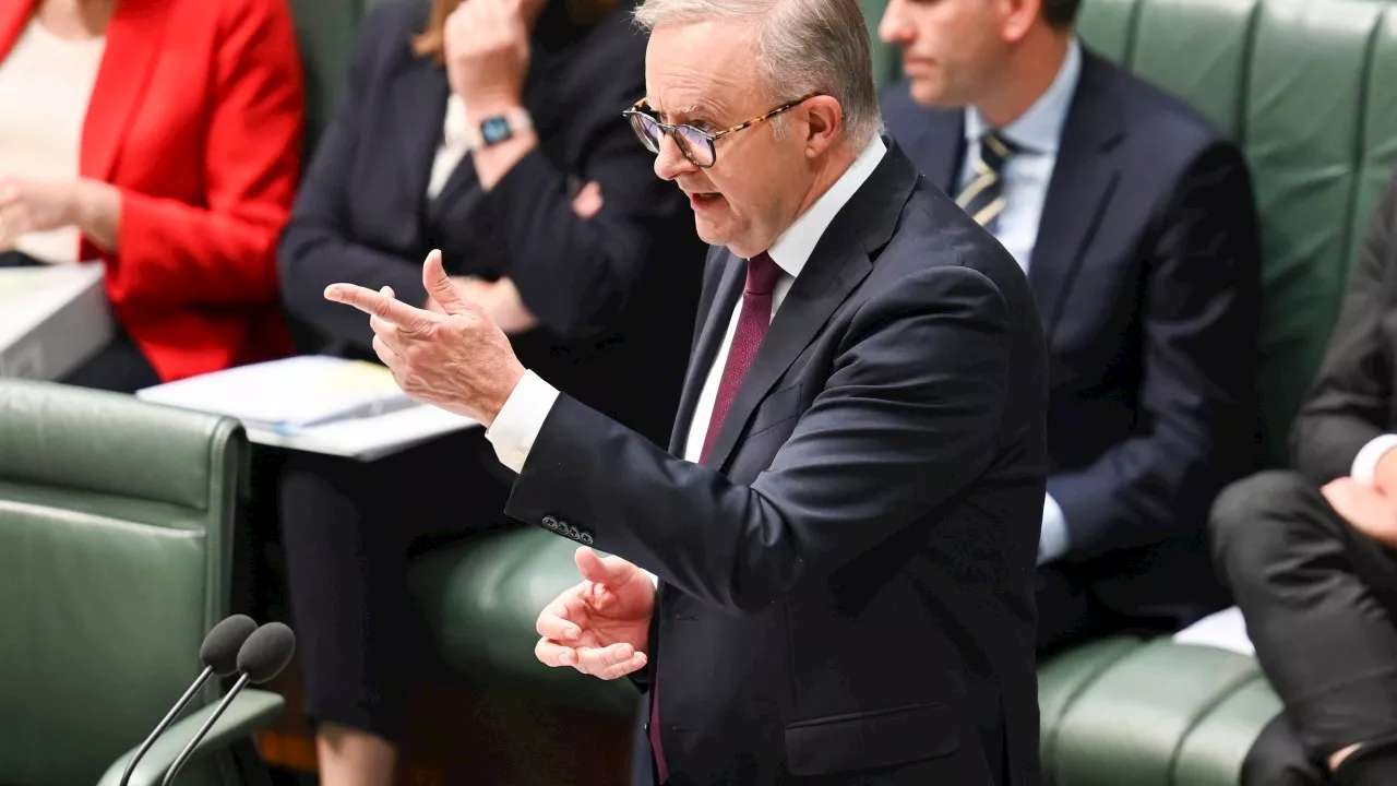 WATCH LIVE: Anthony Albanese and Peter Dutton to lock heads over immigration in Question Time