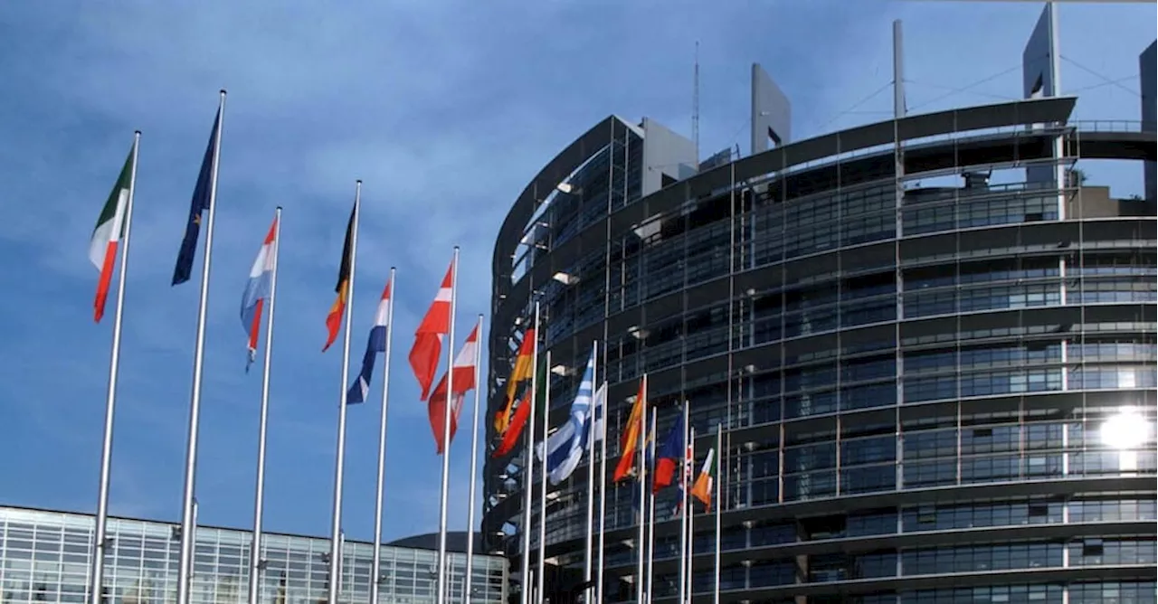 Europee, sette candidati impresentabili per la commissione Antimafia. Ecco chi sono