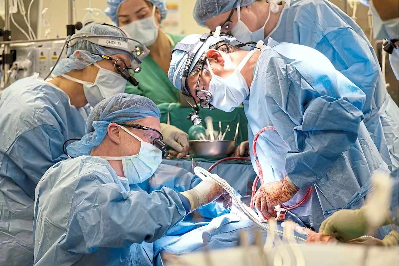 How specialists are recognised and registered in Malaysia