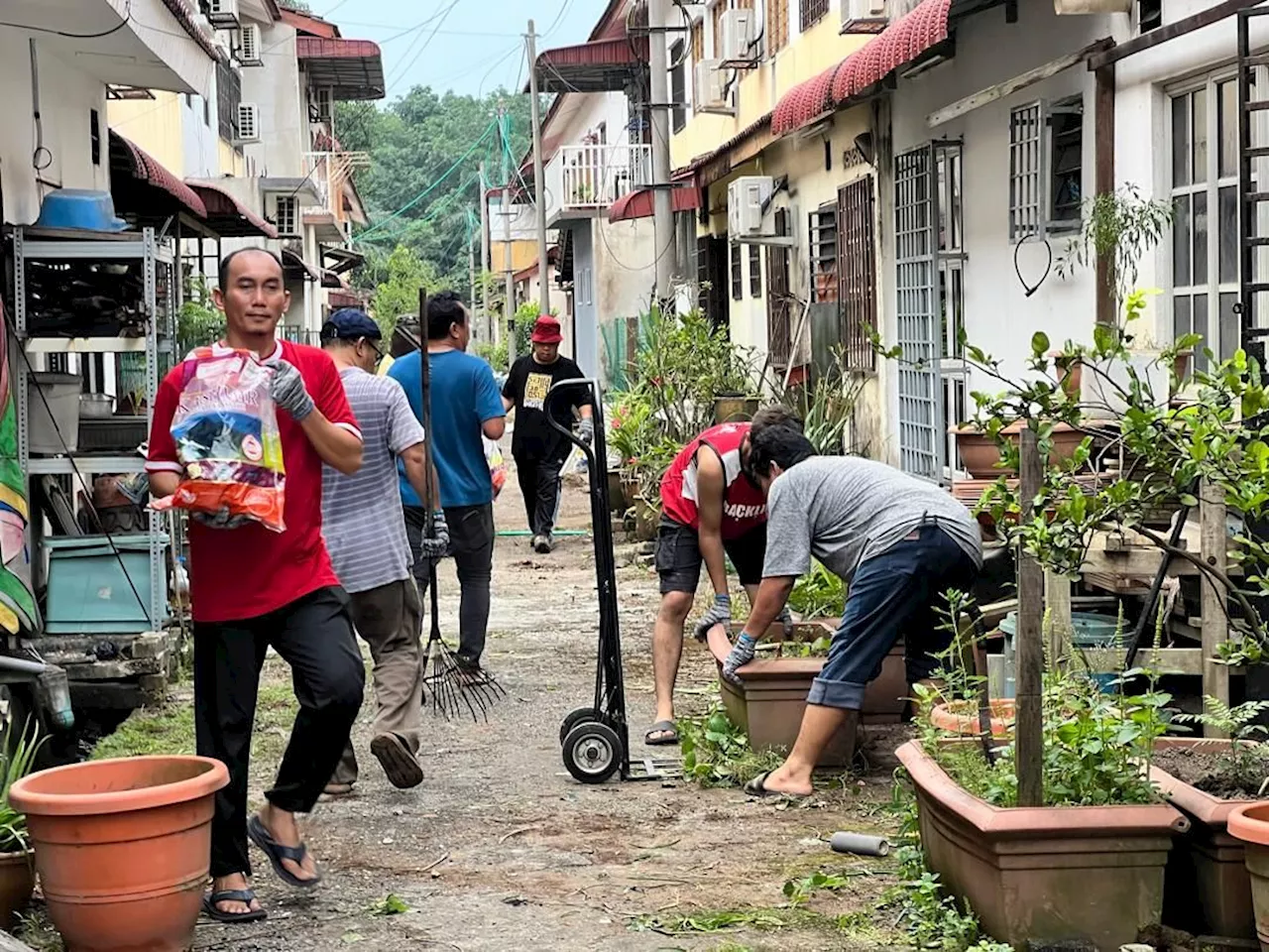 Klang council out to clear back alleys of Aedes breeding sites