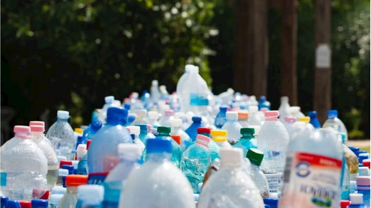 Susuri Pantai Tanjung Pasir Tangerang, Siswa Temukan Ratusan Kilogram Limbah Plastik!