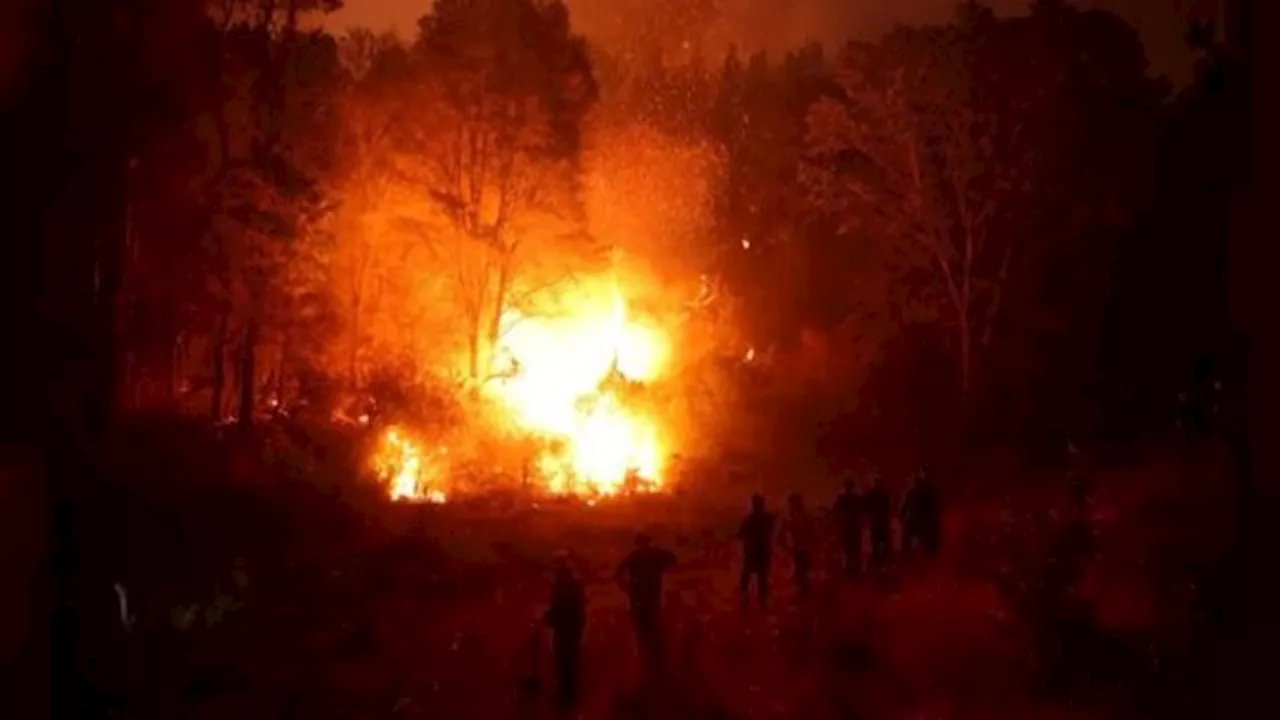 La Corte chilena imputó a un ex bombero y a un ex trabajador forestal por el megaincendio en Valparaíso