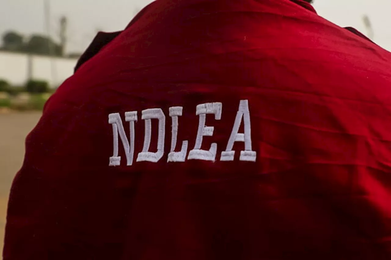 NDLEA arrests couple for 'running drug cartel', seizes 50 blocks of cocaine