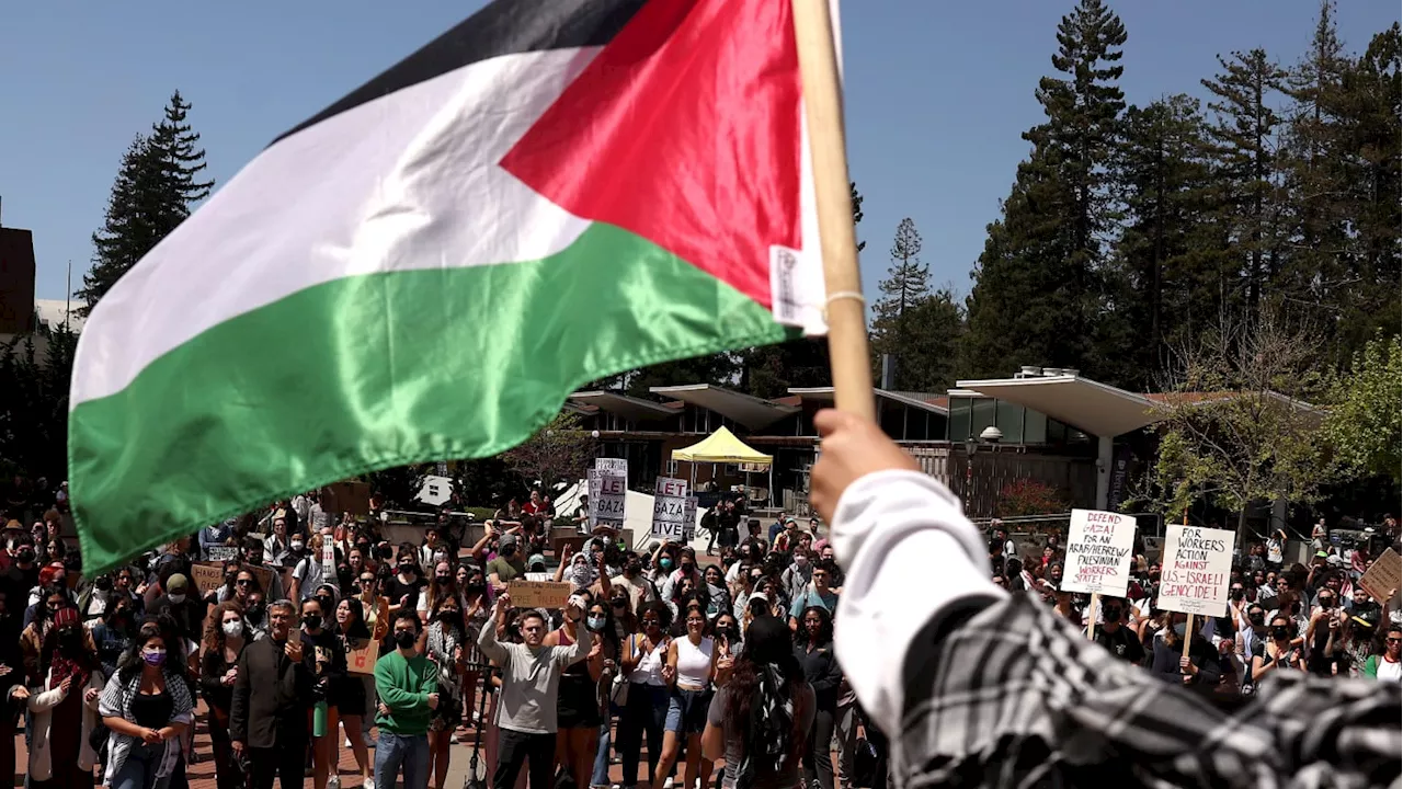 Pro-Palestinian Campus Protests Were Funded by Rachel Gelman, Despite Family Being Jewish