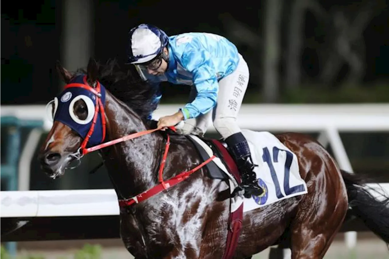 May 29 Hong Kong (Sha Tin, All Weather Track) form analysis