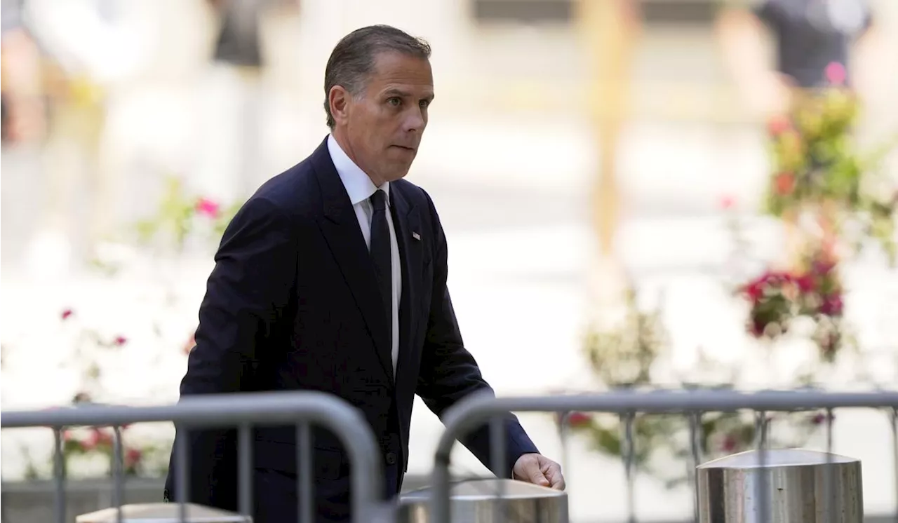 Appeals court rejects Hunter Biden's Second Amendment defense as premature