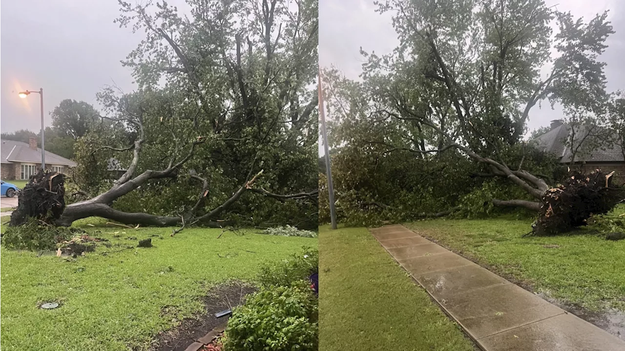 STORM DAMAGE: Here's where we're seeing damage in North Texas